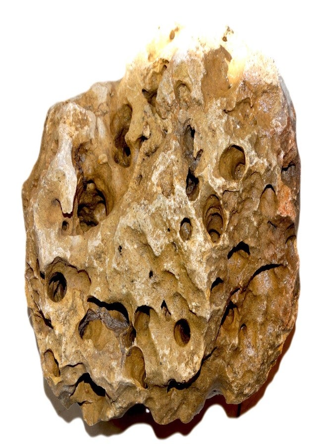 Maalavya Lava Rock 3kg for |Aquarium Decoration|Reef Tank Setup|Garden Decor|Water Stone Pebbles. - Image 1